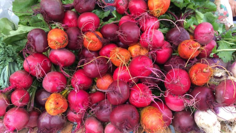 l'eldoradis au marché, maraichage , légumiste bruxellois